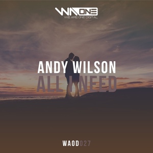 Обложка для Andy Wilson - All I Need (Original Mix)