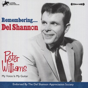 Обложка для Del Shannon - Jody