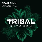 Обложка для Sean Finn - Dreaming