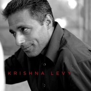 Обложка для Krishna Levy - Ne te retourne pas