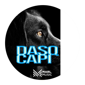 Обложка для DASQ - Capi