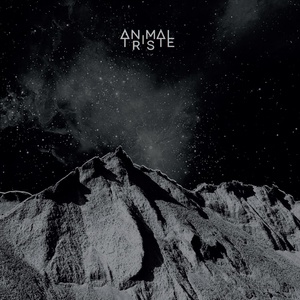 Обложка для Animal Triste - Sky is Something