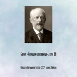 Обложка для Оркестр Большого Театра СССР, Борис Хайкин - Балет «Спящая красавица», соч. 66, Отрывок 33