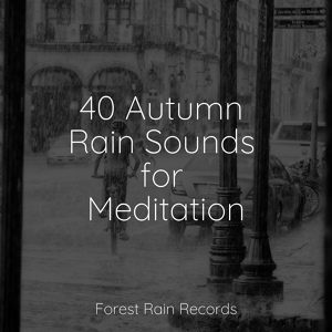 Обложка для Childrens Music, Academia de Música con Sonidos de la Naturaleza, Sample Rain Library - Soothing River