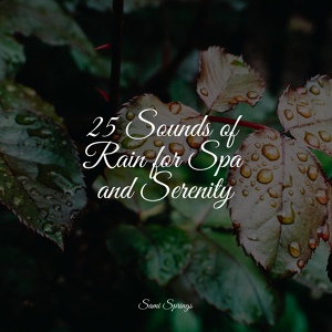 Обложка для Sounds of Nature Relaxation, Spa Music Relaxation, Sample Rain Library - Rain Out Back