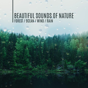 Обложка для Nature Sounds Collective - Idyll on the Farm