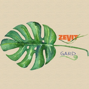 Обложка для Zevit - Gard