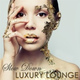 Обложка для Buddha Spirit Ibiza Chillout Lounge Bar Music Dj - Tokio Lounge (Cocktail Party)