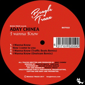 Обложка для Aday Chinea - I Wanna Know (Traffic Beats Remix)