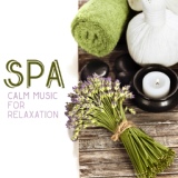 Обложка для Relaxing Zen Music Ensemble - Enjoy the Spa Treatments