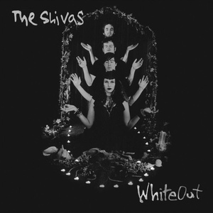 Обложка для The Shivas - Manimal