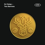 Обложка для DJ Ostap - Two Barrows