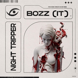 Обложка для Bozz (IT) - Night Tripper