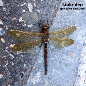 Обложка для Kinky Dep - Шиес
