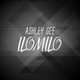 Обложка для Ashley Gee - Ilomilo