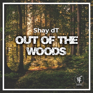 Обложка для Shay dT - Out Of The Woods