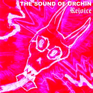 Обложка для The Sound Of Urchin - Safe