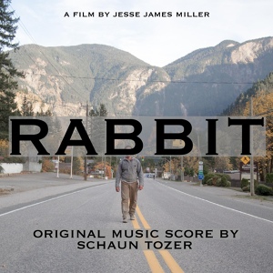 Обложка для Schaun Tozer - Rabbit
