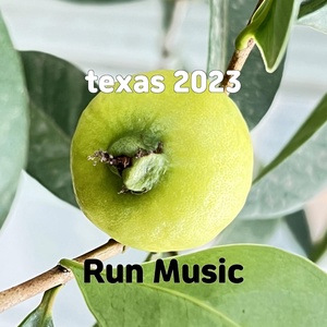 Обложка для Run Music - texas 2023