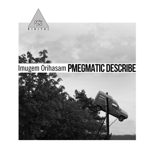 Обложка для Imugem Orihasam - Pmegmatic Describe