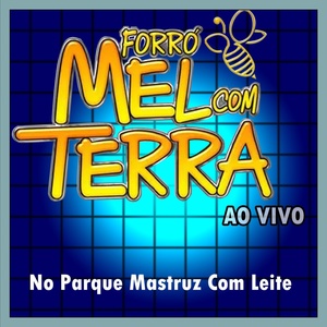 Обложка для Forró Mel Com Terra - Flor - Ao Vivo