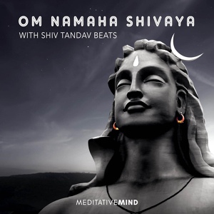 Обложка для Meditative Mind - Om Namaha Shivaya with Shiv Tandav Beats