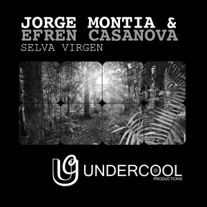 Обложка для Jorge Montia, Efren Casanova - Selva Virgen (Original Mix)