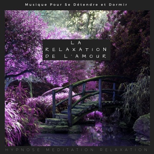 Обложка для Hypnose Meditation Relaxation - Musique De Relaxation Celtique