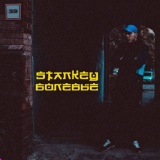 Обложка для Stankey - Крылья