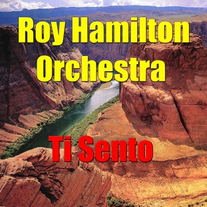 Обложка для Roy Hamilton Orchestra - In Private