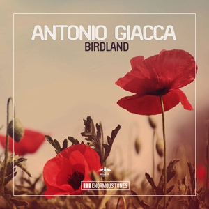 Обложка для Antonio Giacca - Birdland (Original Mix)