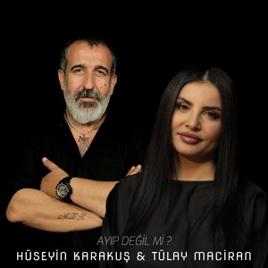 Обложка для Hüseyin Karakuş feat. Tülay Maciran - Ayıp Değil Mi ?