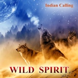 Обложка для Indian Calling - Inward Journey