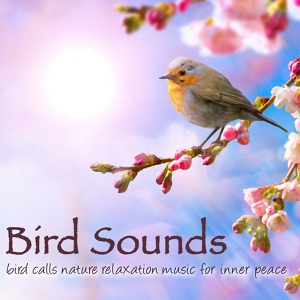 Обложка для Bird Songs Nature Music Specialists - Asian Zen Meditation