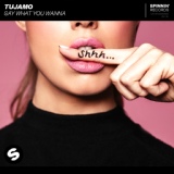 Обложка для Tujamo - Say What You Wanna