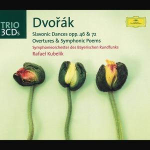 Обложка для Symphonieorchester des Bayerischen Rundfunks, Rafael Kubelík - Dvořák: 8 Slavonic Dances, Op. 72, B. 147 - No. 2 in E Minor (Allegretto grazioso)