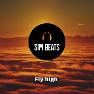 Обложка для SIM BEATS - Fly High