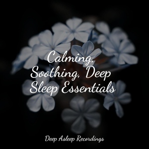 Обложка для Sleep Waves, Musique Zen Garden, Anxiety Relief - Dream Sequence