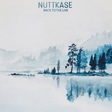 Обложка для Nuttkase - Melancholy