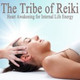 Обложка для The Tribe of Reiki - Balancing Yin and Yang (Reiki Healing)