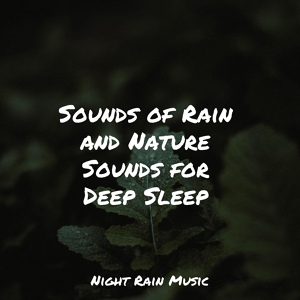 Обложка для Regen, Unforgettable Paradise SPA Music Academy, Soothing Nature Sounds - Stormy, Rainy Night