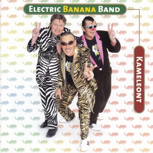Обложка для Electric Banana Band - Das Rap