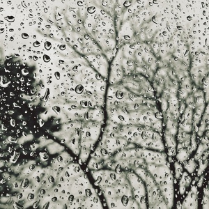 Обложка для Rain Sounds XLE Library, Rain Forest FX, Nature Sound Series - Soft Rain Melody