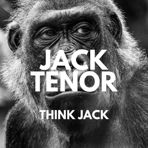 Обложка для Jack Tenor - Babiroussa