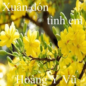 Обложка для Hoàng Y Vũ - Xuân xa mẹ 2