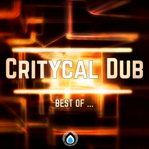Обложка для Critycal Dub - Hung Up