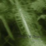 Обложка для Shape Of Despair - Down Into The Stream