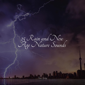 Обложка для Thunder and Rain Storm, Sound Healing Center, Lullabies for Deep Meditation - Rain Collection