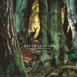 Обложка для David Sylvian - The Rabbit Skinner