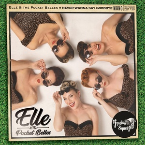 Обложка для Elle & The Pocket Belles - Never Wanna Say Goodbye